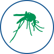 Controle de Mosquitos em Belo Horizonte - Minas Gerais | Dedetizadora em BH